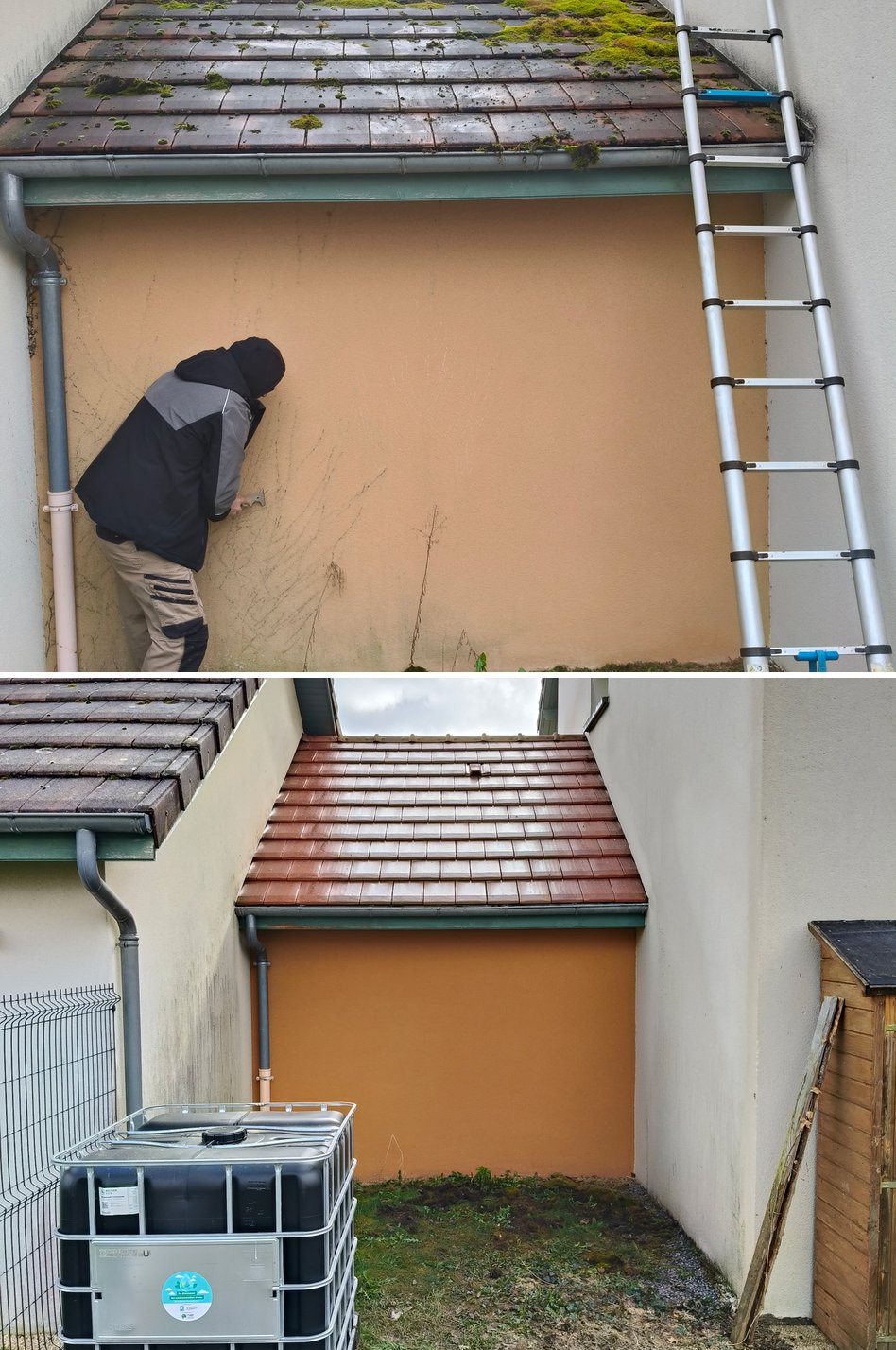 Démoussage toiture et nettoyage de mur — avant / après